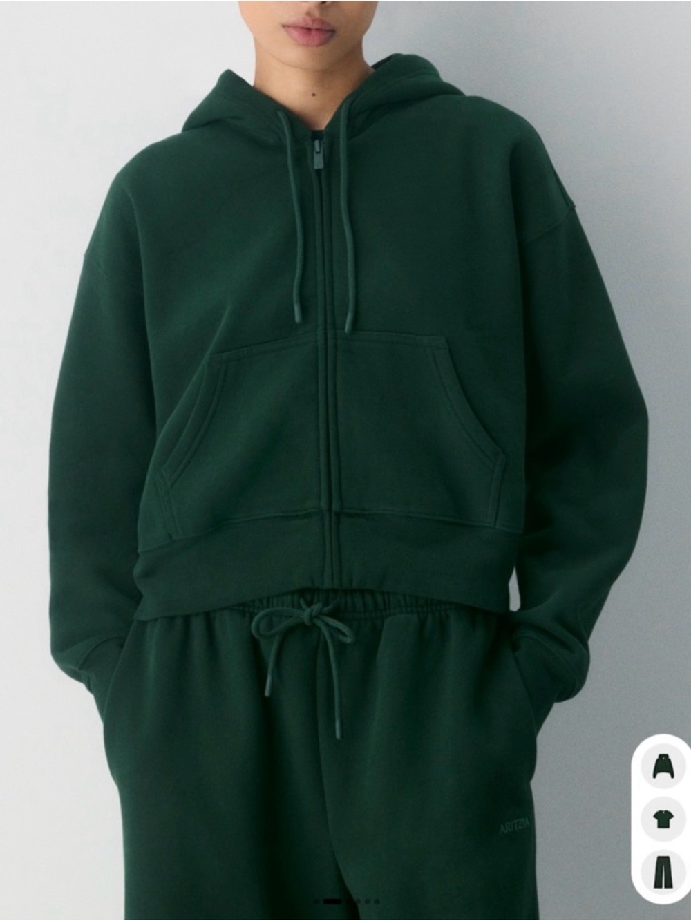 Aritzia Cozy Sweatfleece Boyfriend Boxy Zip Hoodie